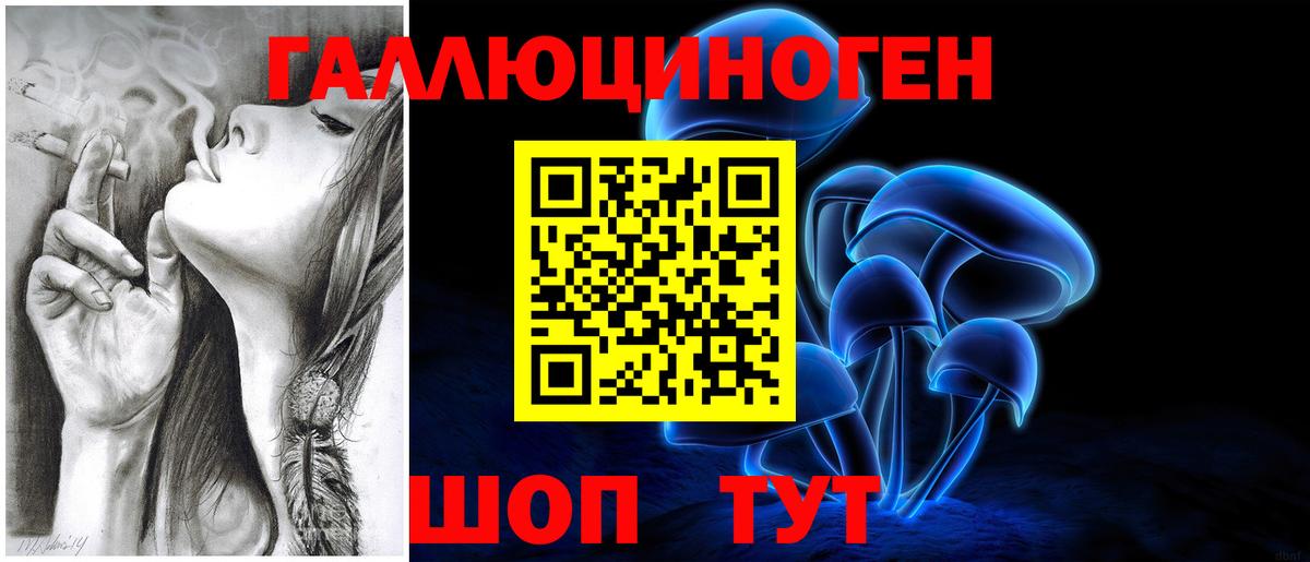 Галлюциногенные грибы мухоморы Воркута